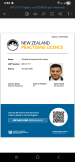 Hamilton Plastering Services logo