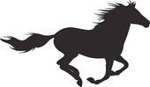 Mustang Roof Restorations logo