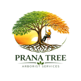 Prana Tree logo