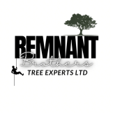 Remnant Brothers Tree Experts Limited logo
