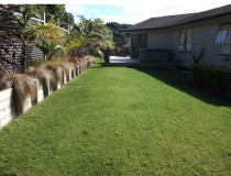 Medium size residential lawn