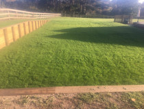 Another happy customer - Another happy customer