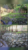 wadestown - Oh look we found a garden