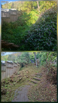 wadestown - Found the footpath at last