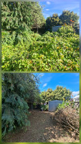 Waiwhetu - Jungle warfare at its best