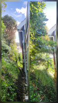 wadestown - Breathing space for the house