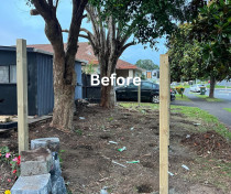 Fence and Deck