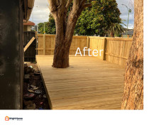 Fence and Deck