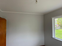 Interior Paint