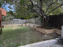 Plant box around back yard