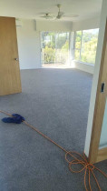 Replace carpet