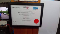 Qualification