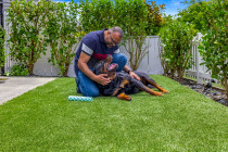 Artificial Grass for Large Dogs - Synthetic Turf Supply and Installation - Proudly New Zealand owned and operated, we are based in Auckland and service all regions nationwide. Our premium Artificial Grass and Synthetic Turf solutions provide a low-maintenance, beautifully manicured finish that remains lush, green, and resilient—no matter the weather.
