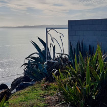 Dolphin sculpture for residential home on Orewa beachfront