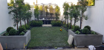 Small Back yard