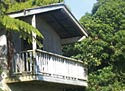 Enjoy nature - Green West Coast NZ