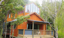 Rimu