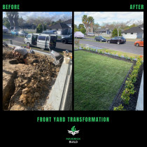 Front lawn transformation