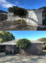 Exterior painting