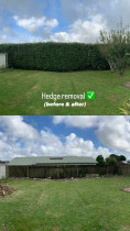 Hedge Removal (Before & After) - Complete hedge removal carried out, including cutting, removal, and full site clean-up, leaving a clear and tidy finish.