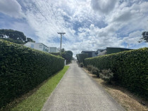 Communal driveway hedge trimming