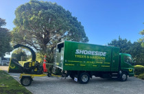 Tree truck and small chipper