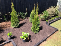 Underground Gardening - Gardens