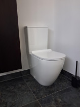 Wc reno - A new toilet install from a recent reno