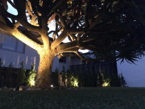 Garden lighting Orakei renovation