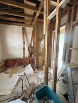 Wainuiomata Bathroom