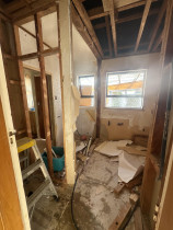 Wainuiomata Bathroom