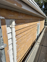 Strip paint, preparation
