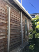 Paint stripping