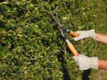 Bretts Total Garden Services