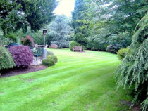 Bretts Total Garden Services