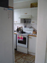 Wood Renovations - Before Photo of the old Kitchen