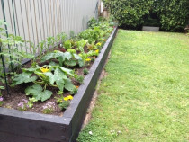 We build Vege Gardens of any shape and size at Underground Gardening - New Vegetable Garden